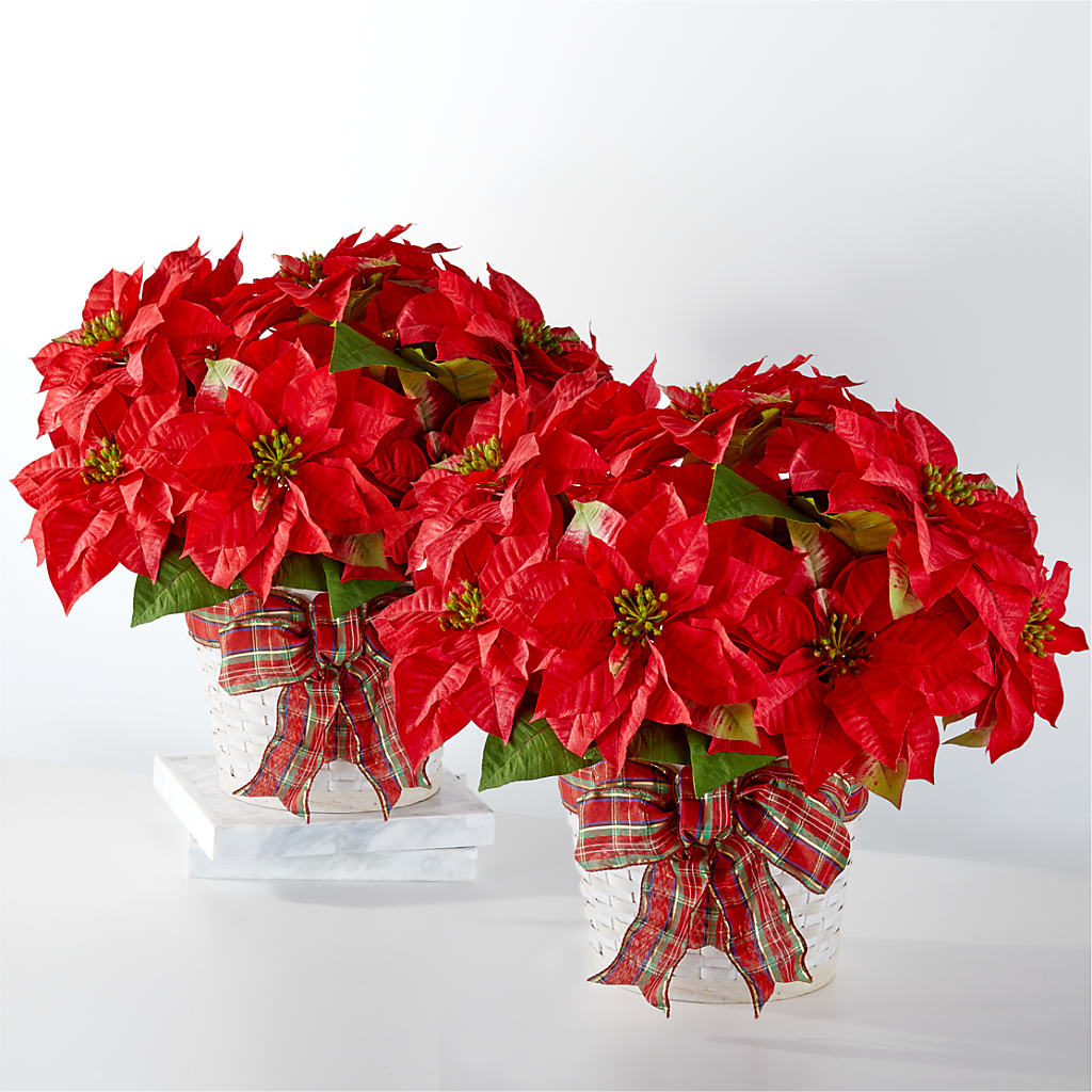 Happiest Holidays Poinsettia Bundle – FONSECA'S FLOWERS, San Bernardino CA