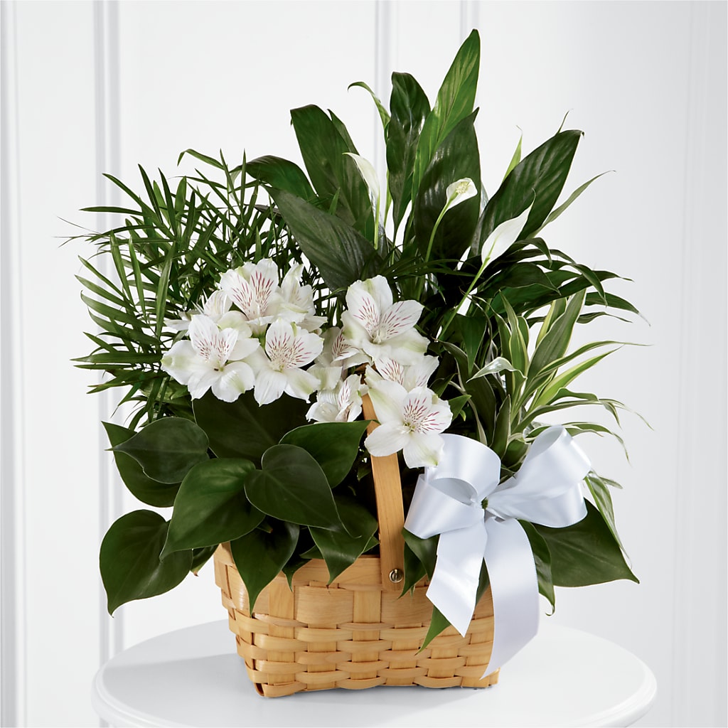 Peace & Serenity Dishgarden – FONSECA'S FLOWERS, San Bernardino CA