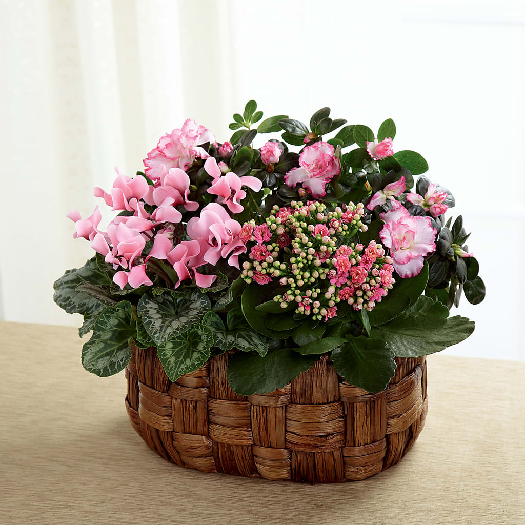 Pink Assortment – FONSECA'S FLOWERS, San Bernardino CA