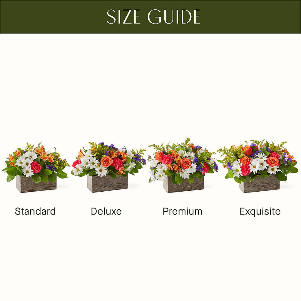 Oopsie Daisy Box Bouquet – FONSECA'S FLOWERS, San Bernardino CA