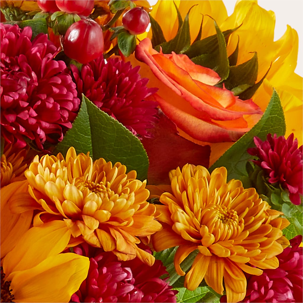 Sweater Season - A Florist Original – FONSECA'S FLOWERS, San Bernardino CA