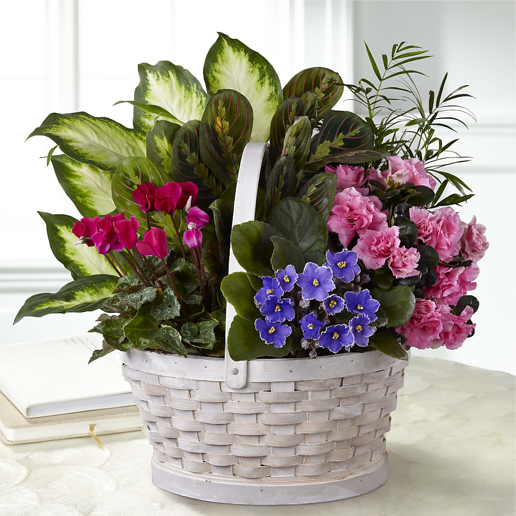 Peaceful Garden Planter – FONSECA'S FLOWERS, San Bernardino CA