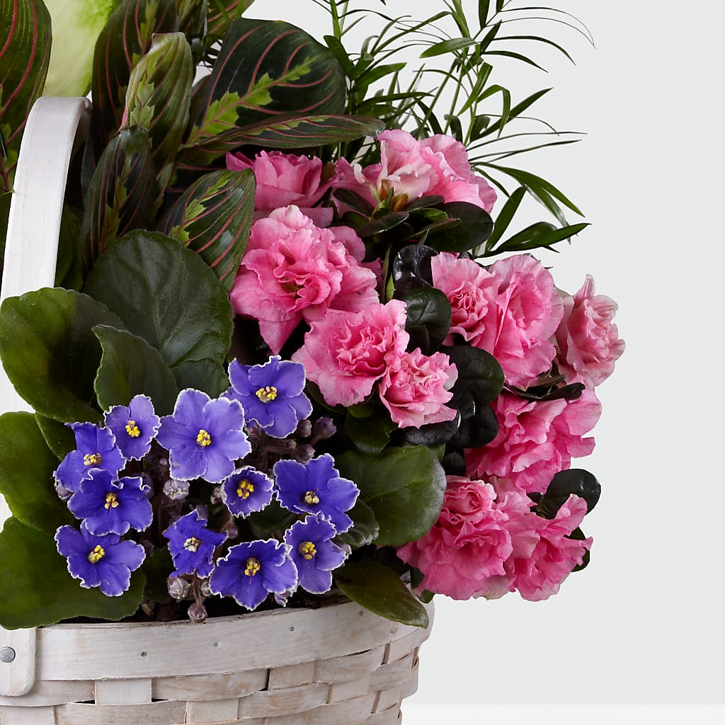 Peaceful Garden Planter – FONSECA'S FLOWERS, San Bernardino CA