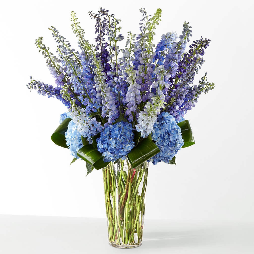 The Editorial – FONSECA'S FLOWERS, San Bernardino CA