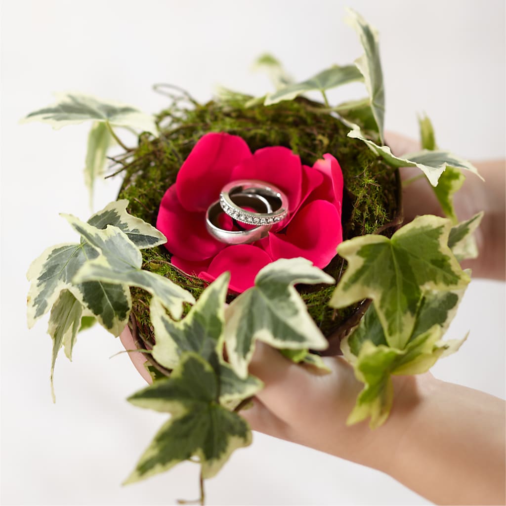 Lila Rose Ring Nest – FONSECA'S FLOWERS, San Bernardino CA