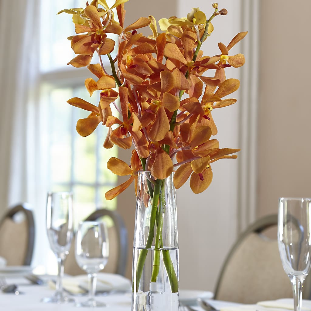 Orange Mokara Bud Vase – FONSECA'S FLOWERS, San Bernardino CA