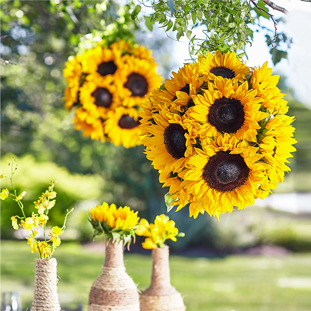 Sublime Garden Hanging Arrangement – FONSECA'S FLOWERS, San Bernardino CA
