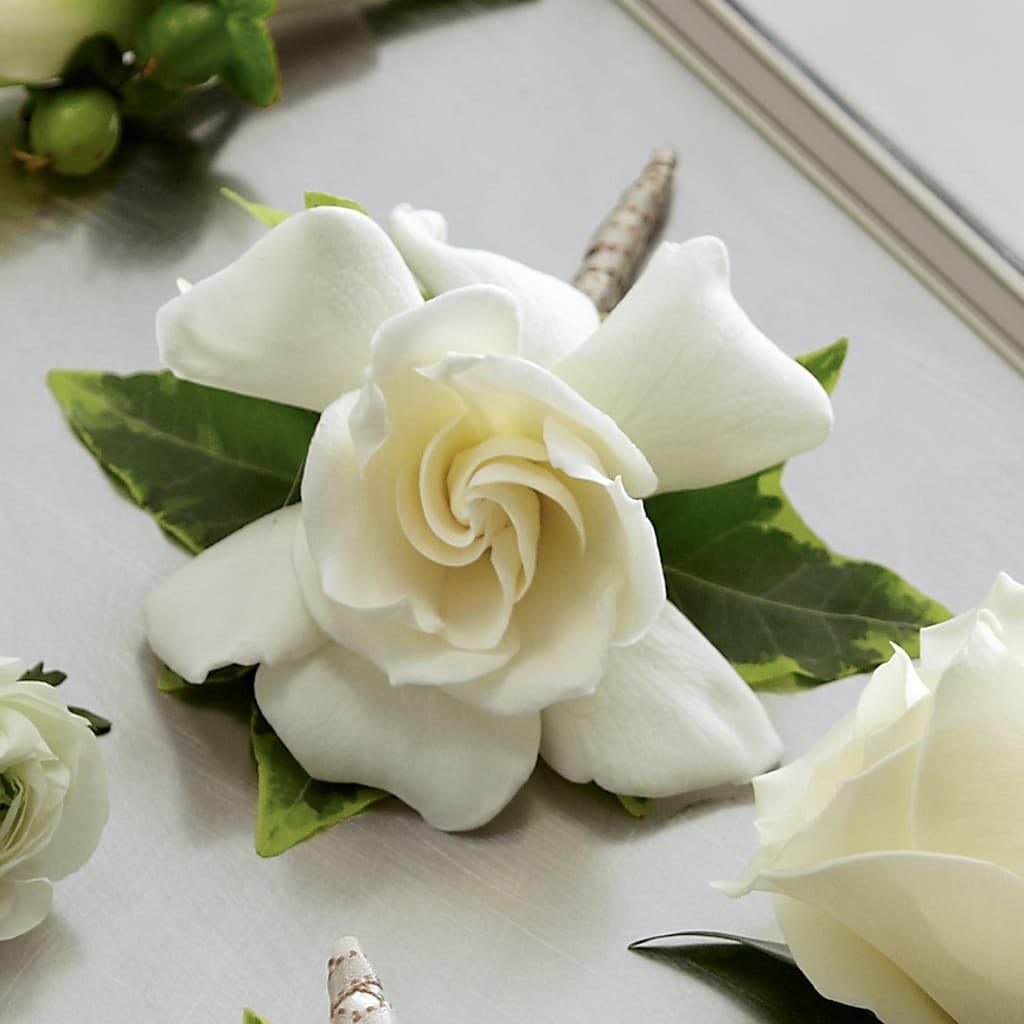 Gardenia Boutonniere – FONSECA'S FLOWERS, San Bernardino CA