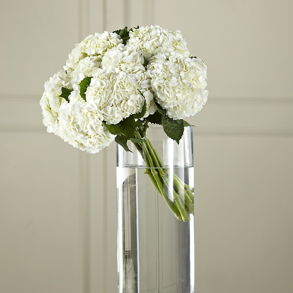 White Hydrangea Hand-Tied Bouquet – FONSECA'S FLOWERS, San Bernardino CA