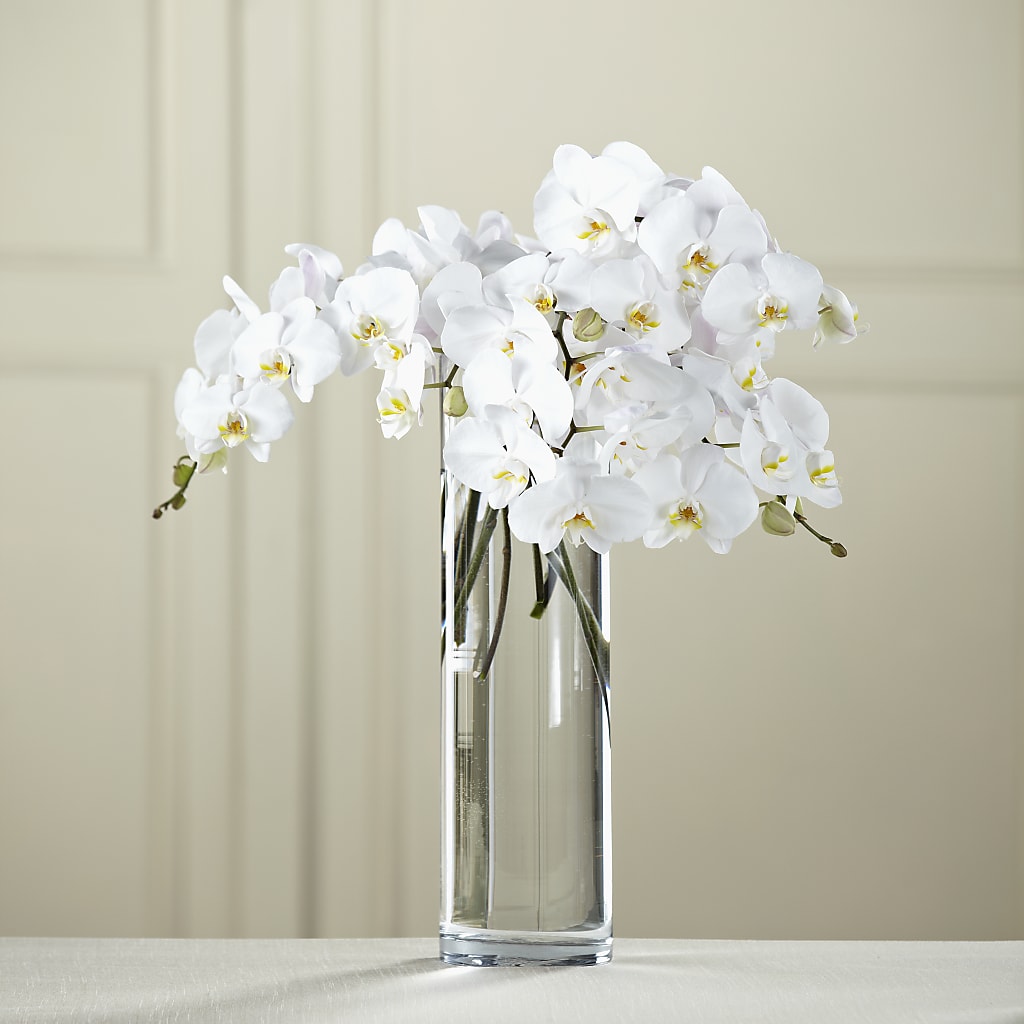 White Phalaenopsis Bouquet – FONSECA'S FLOWERS, San Bernardino CA