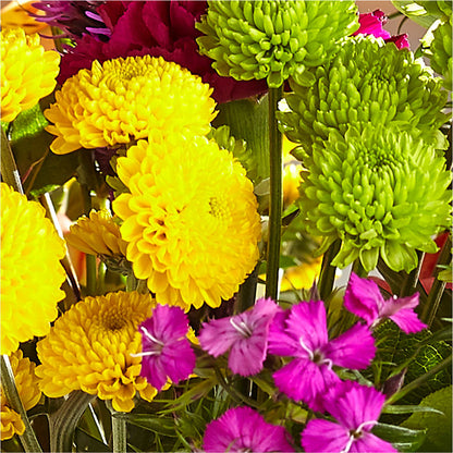 Bold & Bright – A Florist Original – FONSECA'S FLOWERS, San Bernardino CA