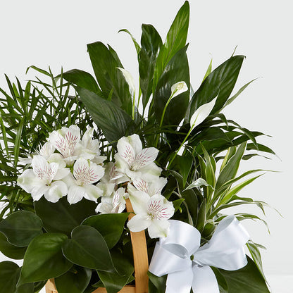 Peace & Serenity Dishgarden – FONSECA'S FLOWERS, San Bernardino CA