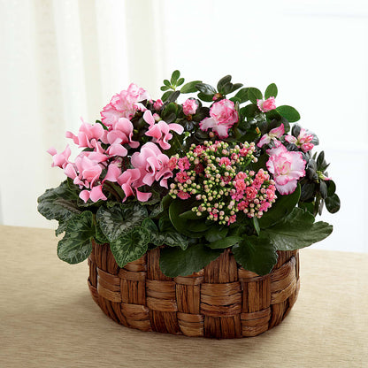 Pink Assortment – FONSECA'S FLOWERS, San Bernardino CA