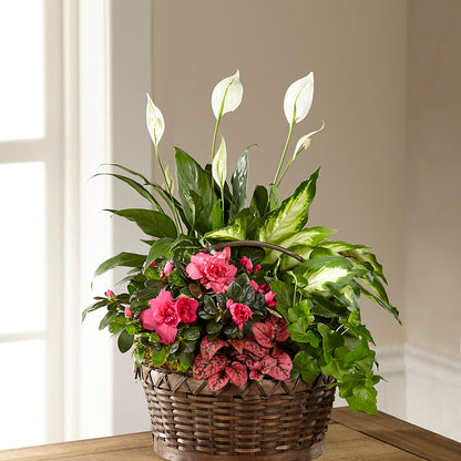 Dream in Pink Dishgarden – FONSECA'S FLOWERS, San Bernardino CA
