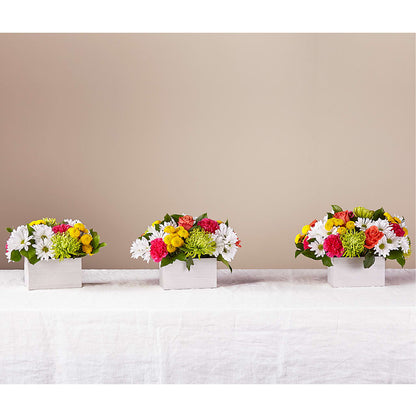 Sorbet Bouquet – FONSECA'S FLOWERS, San Bernardino CA