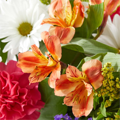 Oopsie Daisy Box Bouquet – FONSECA'S FLOWERS, San Bernardino CA