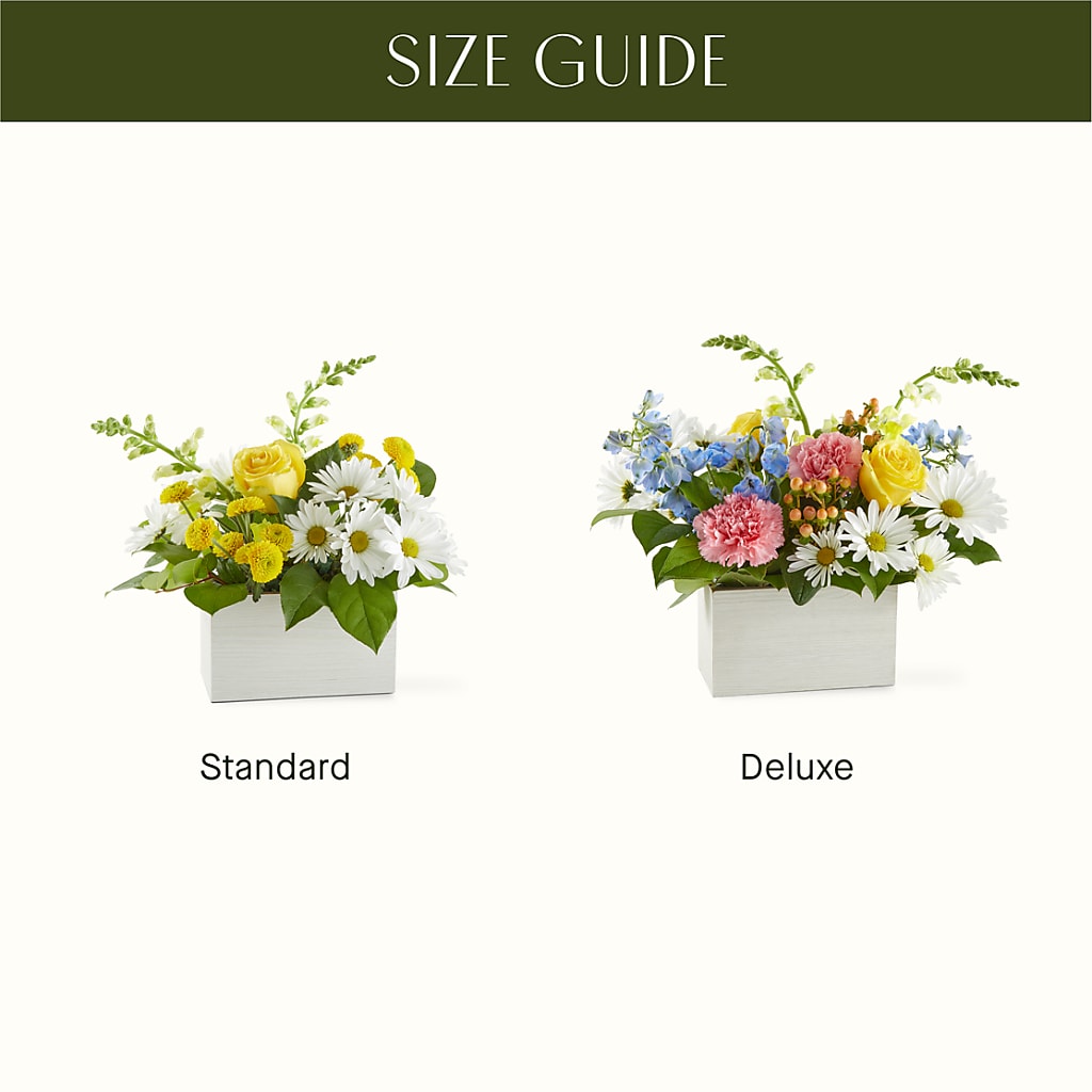 Sun Salutation Box Bouquet – FONSECA'S FLOWERS, San Bernardino CA