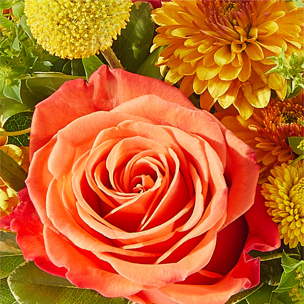 Gourdgeous Pumpkin – FONSECA'S FLOWERS, San Bernardino CA