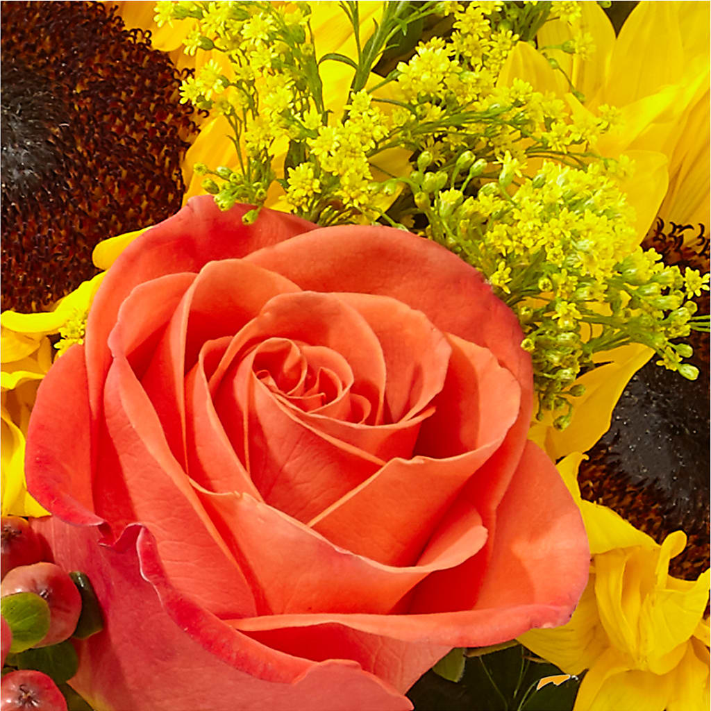 Pick of the Patch Pumpkin Bouquet – FONSECA'S FLOWERS, San Bernardino CA