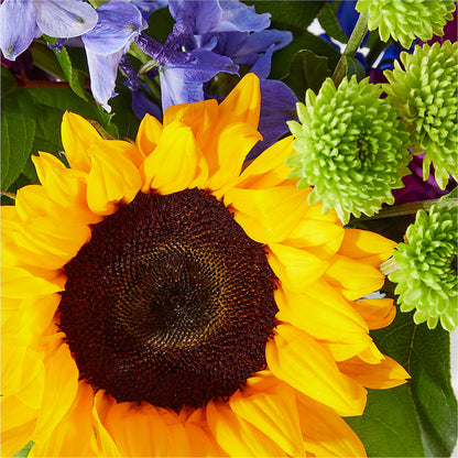 Catching Rays Bouquet – FONSECA'S FLOWERS, San Bernardino CA