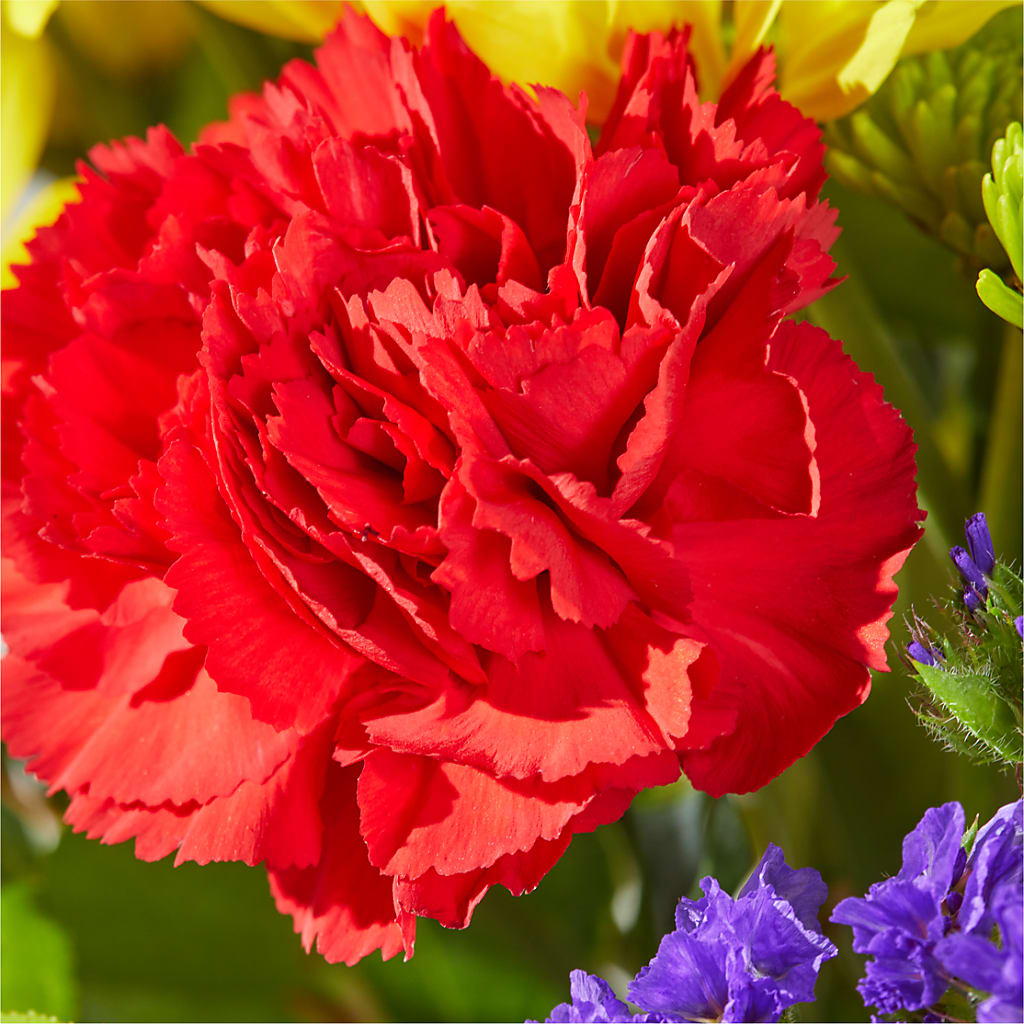 Brighter Days Bouquet – FONSECA'S FLOWERS, San Bernardino CA