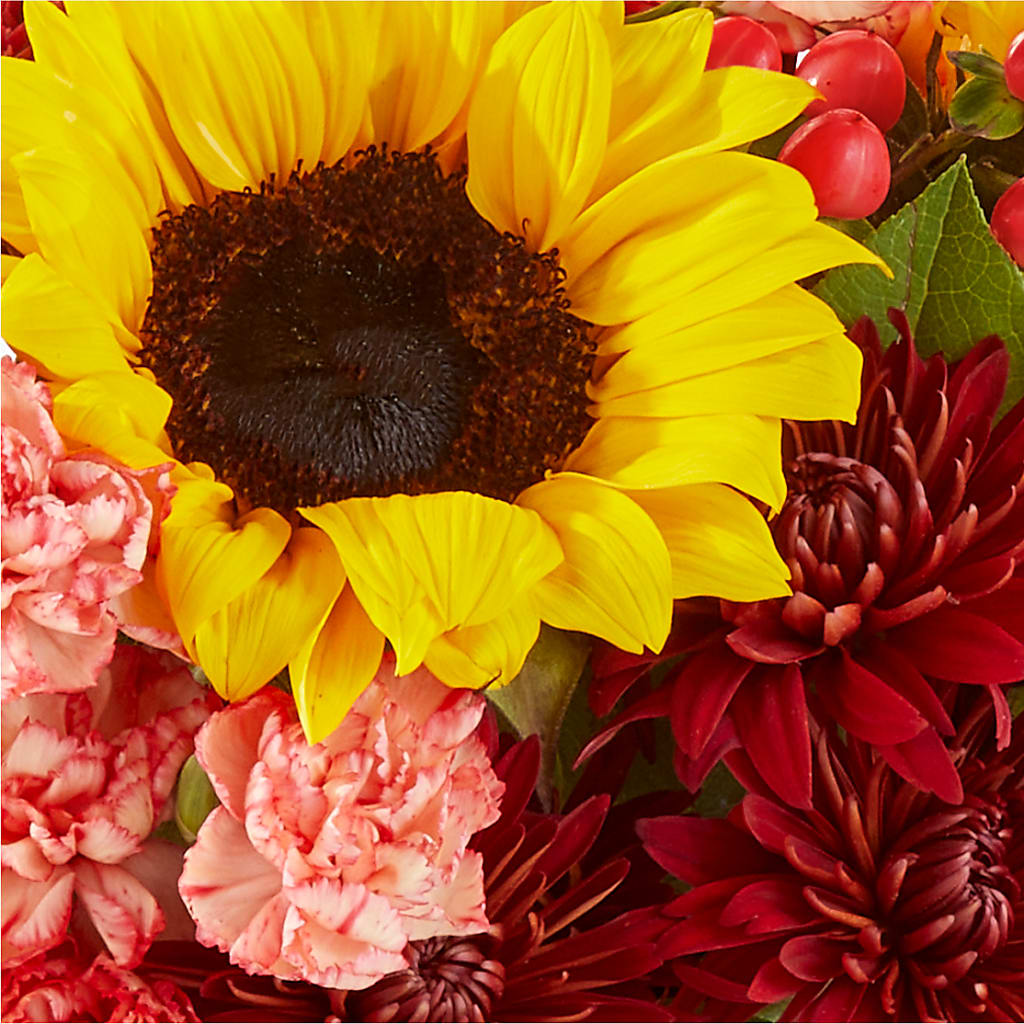Fresh Cider Bouquet – FONSECA'S FLOWERS, San Bernardino CA