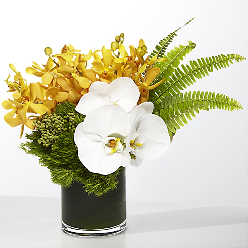 The Tropics – FONSECA'S FLOWERS, San Bernardino CA