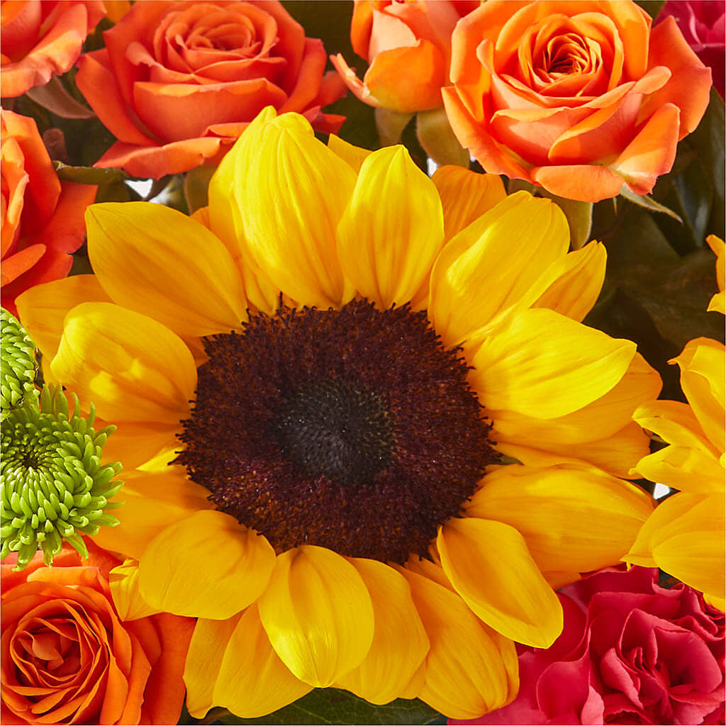 Sun-drenched Blooms Box Bouquet – FONSECA'S FLOWERS, San Bernardino CA