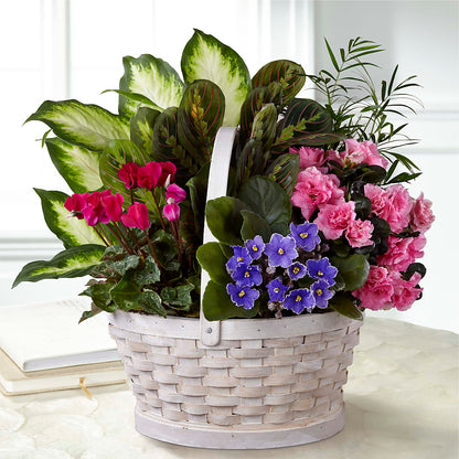 Peaceful Garden Planter – FONSECA'S FLOWERS, San Bernardino CA