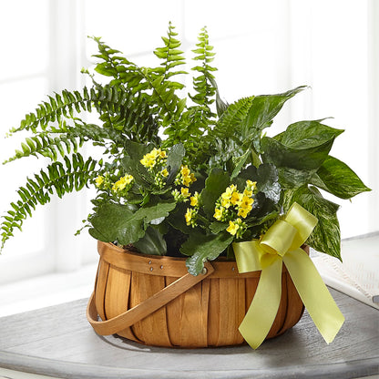 Always Dear Dishgarden – FONSECA'S FLOWERS, San Bernardino CA