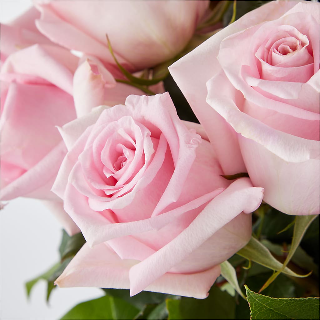 Picture Perfect Pink Rose Bouquet – FONSECA'S FLOWERS, San Bernardino CA