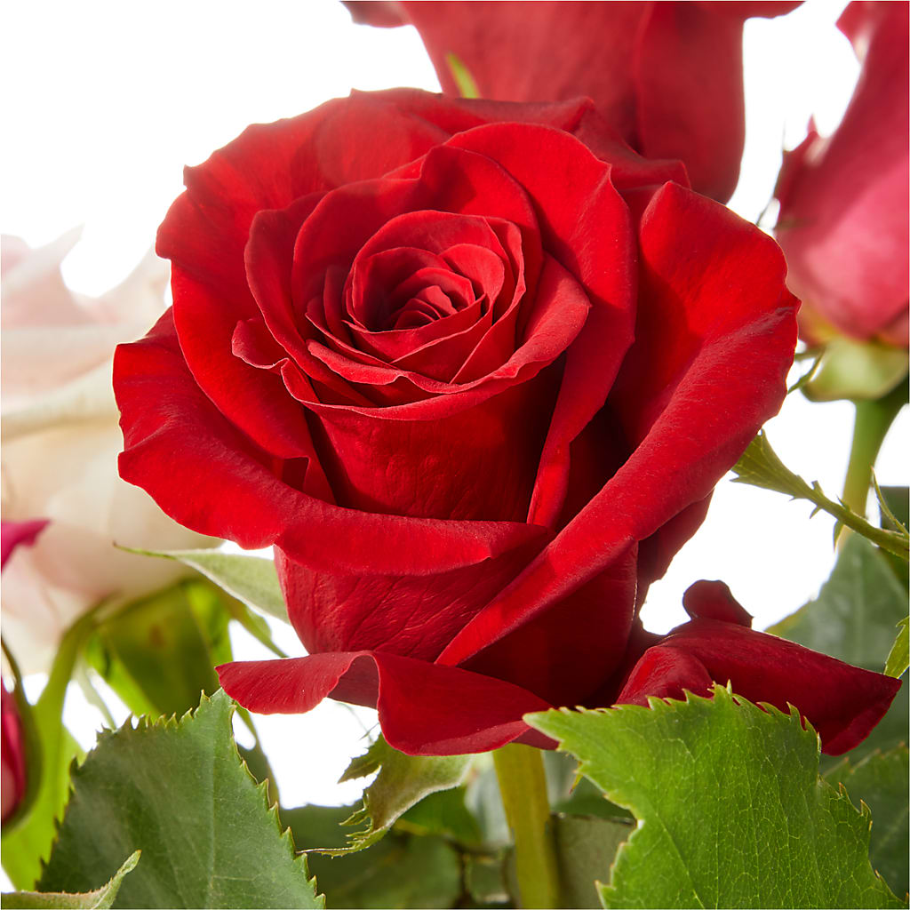 Love Notes Rose Bouquet – FONSECA'S FLOWERS, San Bernardino CA
