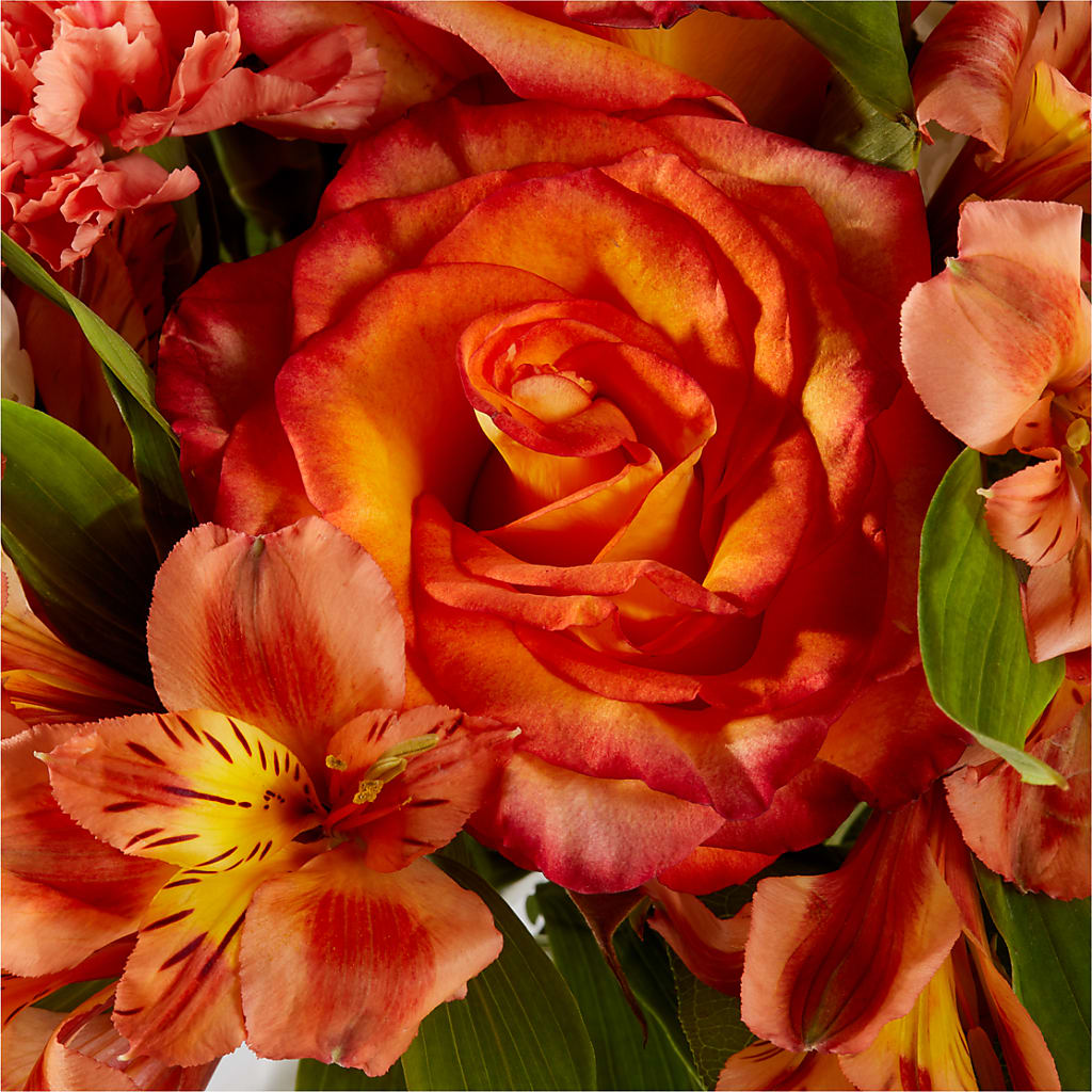 Apricot Glow Bouquet – FONSECA'S FLOWERS, San Bernardino CA