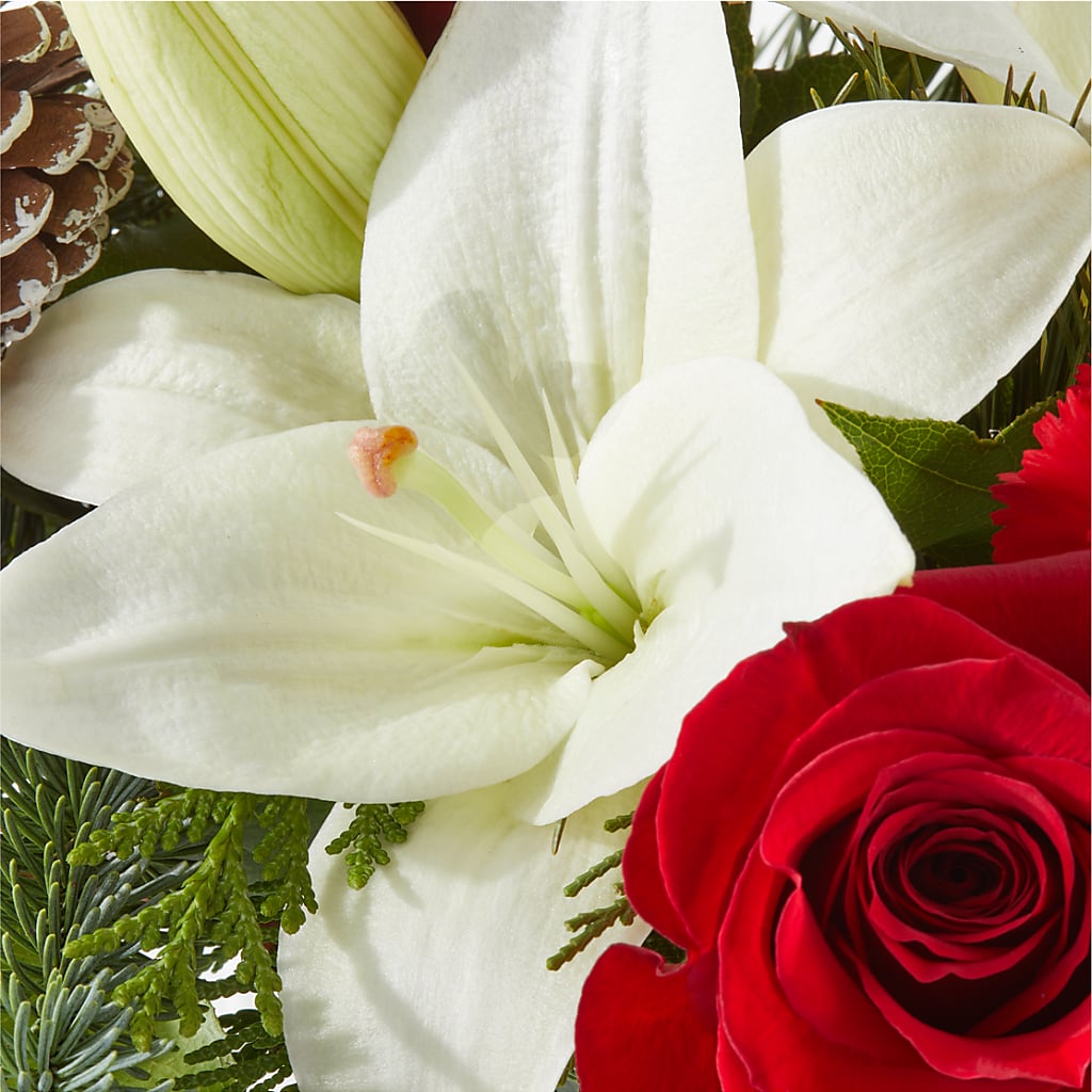 Oh So Jolly Bouquet – FONSECA'S FLOWERS, San Bernardino CA