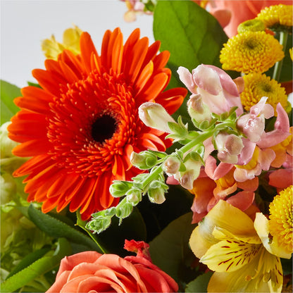Autumn Sunshine Bouquet – FONSECA'S FLOWERS, San Bernardino CA
