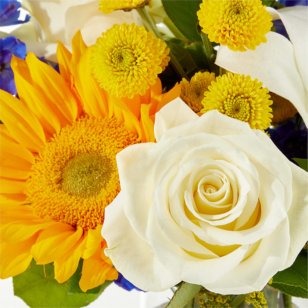 Stargazing Bouquet – FONSECA'S FLOWERS, San Bernardino CA