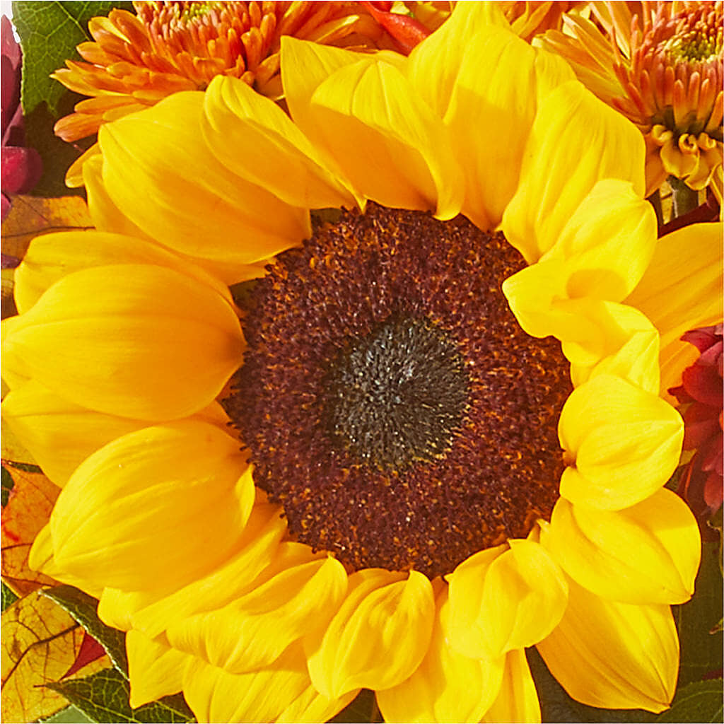 Sunny Side Bouquet – FONSECA'S FLOWERS, San Bernardino CA