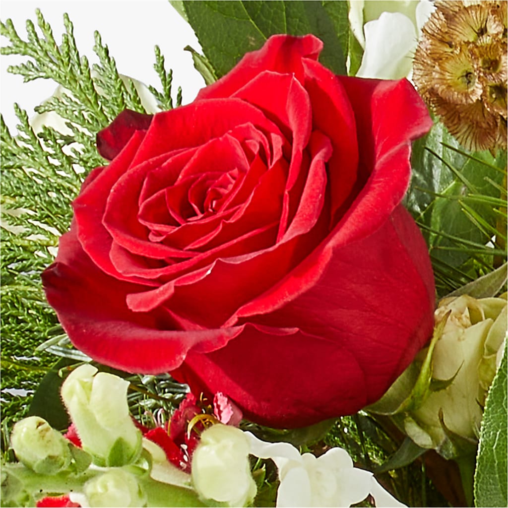 Deck the Halls Bouquet – FONSECA'S FLOWERS, San Bernardino CA