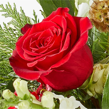 Deck the Halls Bouquet – FONSECA'S FLOWERS, San Bernardino CA