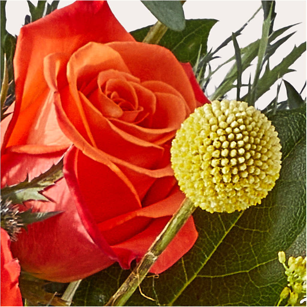 Disco Bouquet – FONSECA'S FLOWERS, San Bernardino CA