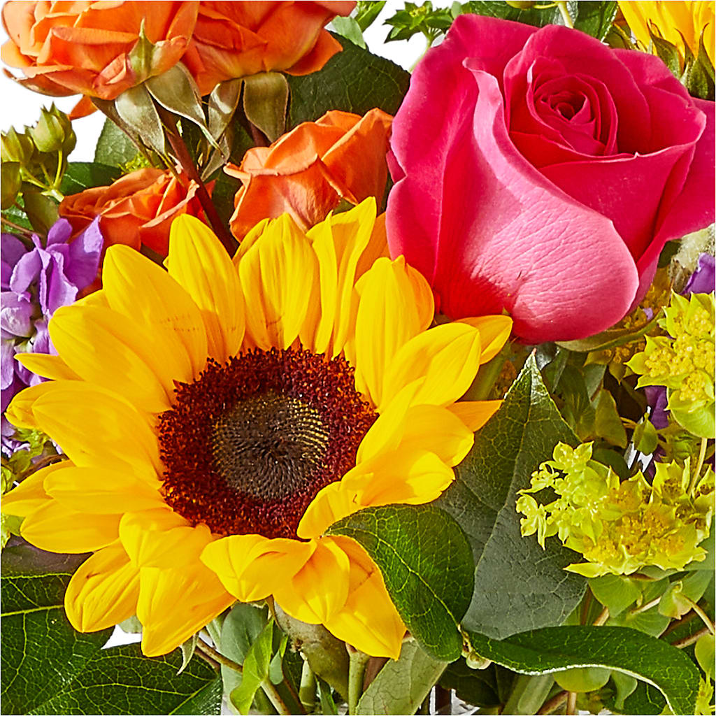 Vibrant Greetings Bouquet – FONSECA'S FLOWERS, San Bernardino CA