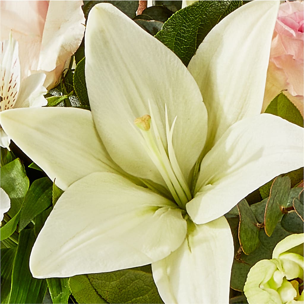 Ballet Slippers Bouquet – FONSECA'S FLOWERS, San Bernardino CA