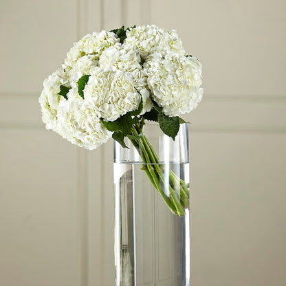 White Hydrangea Hand-Tied Bouquet – FONSECA'S FLOWERS, San Bernardino CA