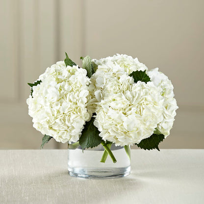 White Hydrangea Bouquet – FONSECA'S FLOWERS, San Bernardino CA